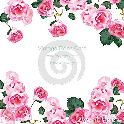 Invitation card with Watercolor Vintage roses bouquet Vector. Floral pink decor for greetings, wedding, birthday and Vector Illustration