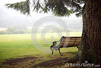 Inviting Bench Beneath A Tree in A Park Stock Photo