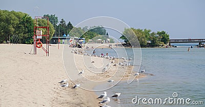 Inviting view on center island, lake Ontario beautiful beach with people relaxing swimming and enjoying their time Editorial Stock Photo