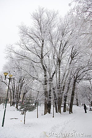 Ion Voicu park covered with snow after a blizzard night Stock Photo