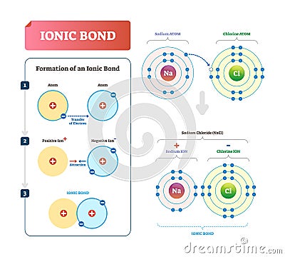Ionic bond vector illustration. Labeled diagram with formation explanation. Vector Illustration