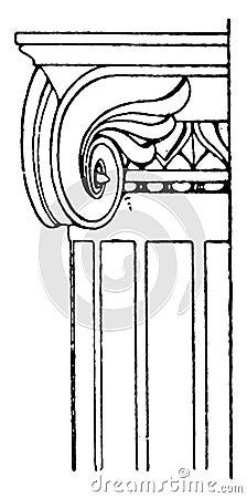 Ionic Capital.ancient, scroll, vintage engraving Vector Illustration