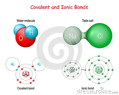 Ionic vs Covalent Bonds Vector Illustration