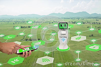 Iot, internet of things,agriculture concept.Farmer use mobile phone connect Smart Robotic artificial intelligence,ai use for man Stock Photo