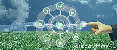 Iot, internet of things, agriculture concept, Smart Robotic artificial intelligence/ ai use for management , control , monitorin Stock Photo