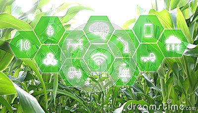 Iot, internet of things, agriculture concept, Smart Robotic artificial intelligence/ ai use for management , control , monitorin Stock Photo