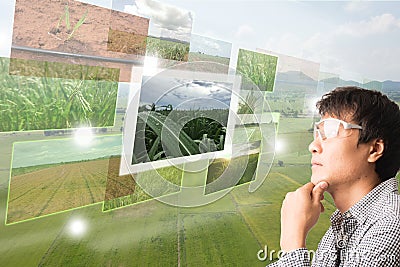 Iot,Internet of thingsagriculture concept,smart farming,indust Stock Photo