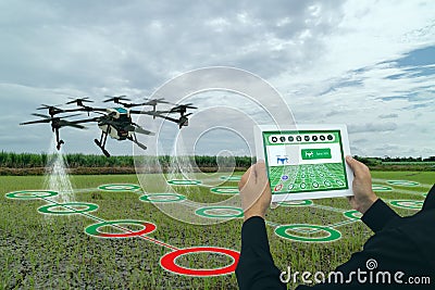 Iot smart agriculture industry 4.0 concept, drone in precision farm use for spray a water, fertilizer or chemical to the field, Stock Photo