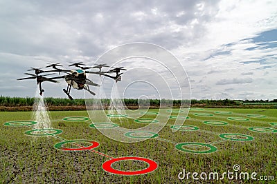 Iot smart agriculture industry 4.0 concept, drone in precision farm use for spray a water, fertilizer or chemical to the field, Stock Photo