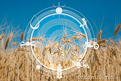 Digital sensor icons for management and monitoring agriculture Stock Photo