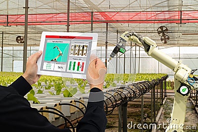 Iot smart industry robot 4. 0 agriculture concept, industrial agronomist, farmer using software Artificial intelligence technology Stock Photo