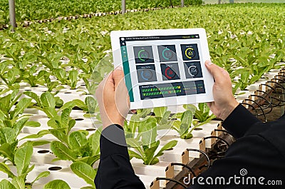 Iot smart industry robot 4.0 agriculture concept,industrial agronomist,farmer using tablet to monitor, control the condition in ve Stock Photo