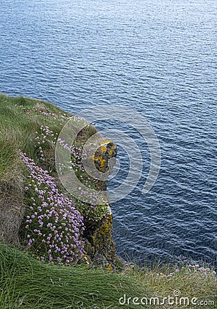 Irelands scenic country side Stock Photo