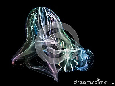 Iridescent jellyfish Stock Photo