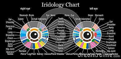 Iridology Chart Black Vector Illustration