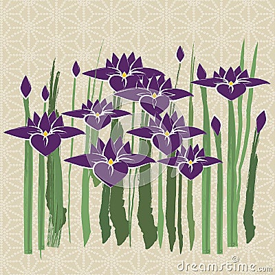 Iris Vector Illustration