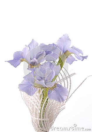 Iris bouquet Stock Photo