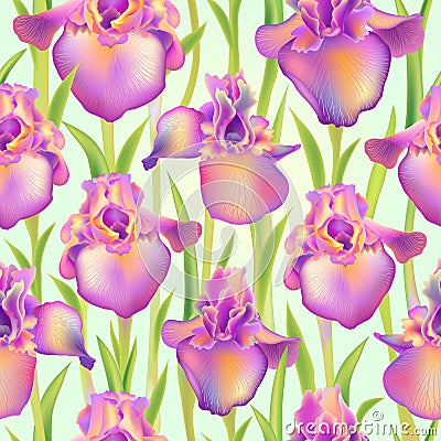 Iris fleur-de-lis flower seamless pattern Vector Illustration