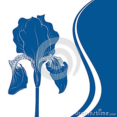 Iris flower Vector Illustration