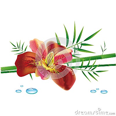 Iris flower and bamboo Vector Illustration