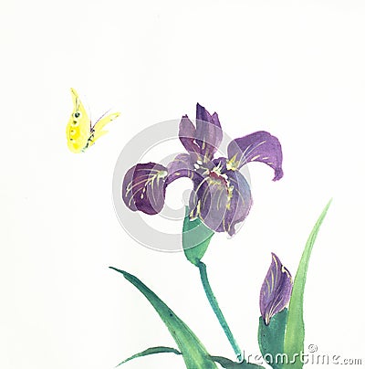 Iris flower and butterfly Stock Photo