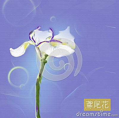 Iris flower japanese watercolor Stock Photo