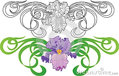 Iris flower vignette tattoo Vector Illustration