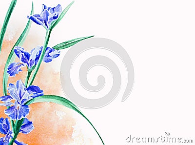 Iris flower watercolor painting with white copyspace for text Stock Photo