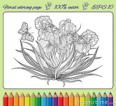 Iris flowers and a butterfly in a frame. Vector Illustration