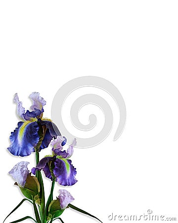 Iris Isolated Corner Design Stock Photo