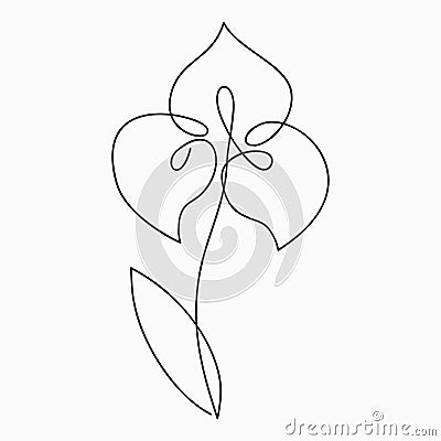 Iris one line drawing. Continuous line flower. Hand-drawn print for logo, emblem and design card, poster. Vector. Vector Illustration