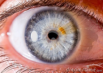 close up eye. close up Iris. very Close macro shot of an eyeball. Blue with fibres and orange streak. Stock Photo