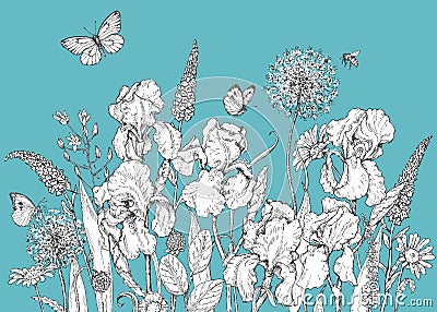 Iris, wild flowers and insects sketch Vector Illustration