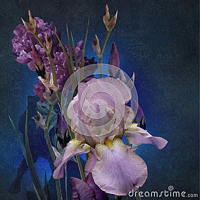 Irises bouquet stylized design on dark background Stock Photo