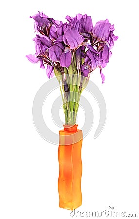Irises in a vase. Stock Photo