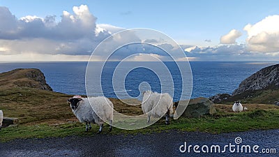 Irish coast Stock Photo