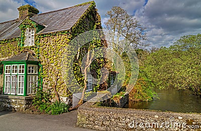 Irish cottage house Stock Photo