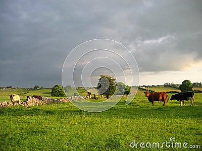 Irish countryside Stock Photo