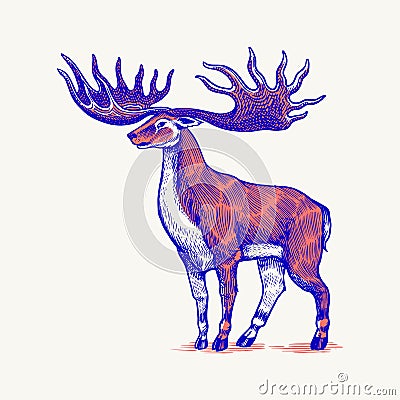 Irish elk or Giant deer or Great Horn. Prehistoric mammals. Extinct animal. Vintage retro vector illustration. Doodle Vector Illustration
