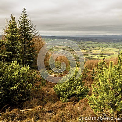 View from Galtee mountain Stock Photo