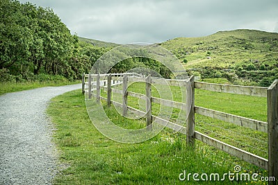 Irish outdoor green landscape with a wooden fence Stock Photo