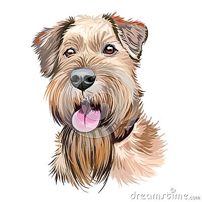 Irish Red Terrier dog, Brocaire Rua digital art illustration isolated on white background. Ireland origin comoanion terrier dog. Cartoon Illustration