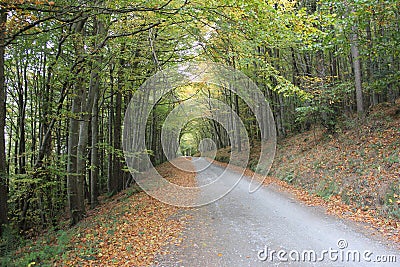 Irish Road Stock Photo