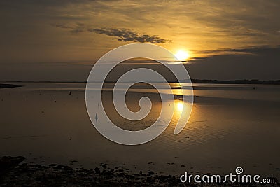 Irish sea, at Caernarfon Wales, at sunset. Variety of birds feeding on the mud flats Stock Photo