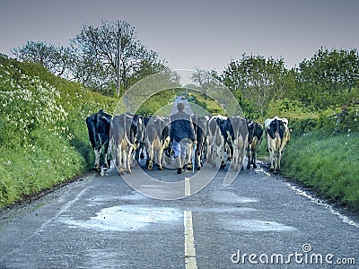 Irish Traffic Jam Editorial Stock Photo