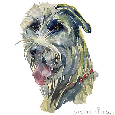 The Irish Wolfhound watercolor hand painted dog portrait Stock Photo