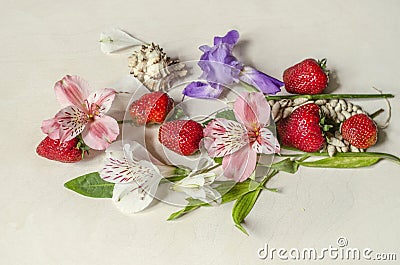 Pink and white Alstroemerias and purple iris near strawberry Stock Photo