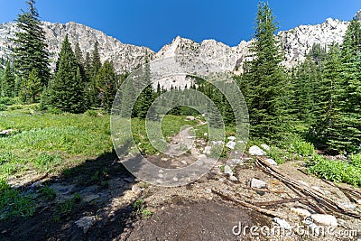 The Iron Creek Trail to Sawtooth Lake in the wilderness of Idaho and the Sawtooth Mountains on a sunny day Stock Photo