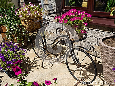 An iron decorative bike stands with beautiful flowers in pots. Rosa Khutor Stock Photo