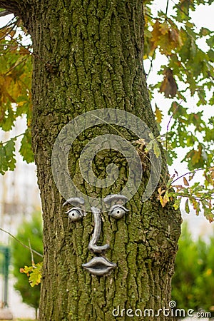 An iron face on a tree trunk. unusual wood decor. Zelenogradsk. Stock Photo